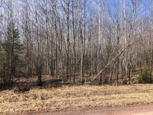 Photo for 17 Brothers Loop Rd, Solon Springs, WI 54873 - Listing #5736567 17 Brothers Loop Rd, Solon Springs, WI 54873