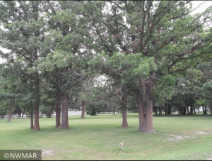 Photo for 45625 280th Street, Roseau, MN 56751 - Listing #5736299 45625 280th Street, Roseau, MN 56751
