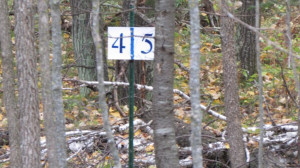 Photo for Lot 4 Blk Falling Leaf Trail, Park Rapids, MN 56470 - Listing #4554253 Lot 4 Blk Falling Leaf Trail, Park Rapids, MN 56470