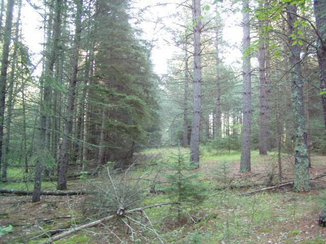 Photo for Lot3 Blk 1 Falling Leaf Trail, Park Rapids, MN 56470 - Listing #4554252 Lot3 Blk 1 Falling Leaf Trail, Park Rapids, MN 56470