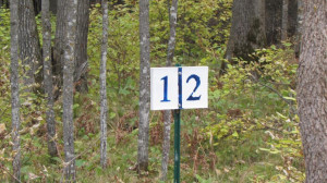 Photo for Lot 1 Blk Falling Leaf Trail, Park Rapids, MN 56470 - Listing #4554250 Lot 1 Blk Falling Leaf Trail, Park Rapids, MN 56470