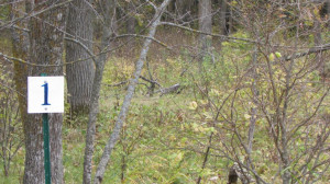 Photo for Lot 1 Blk Falling Leaf Trail, Park Rapids, MN 56470 - Listing #4554250 Lot 1 Blk Falling Leaf Trail, Park Rapids, MN 56470