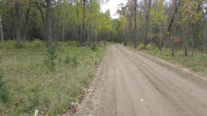 Photo for Lot 1 Blk Falling Leaf Trail, Park Rapids, MN 56470 - Listing #4554250 Lot 1 Blk Falling Leaf Trail, Park Rapids, MN 56470