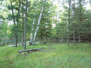 Photo for Lot 1 Blk Falling Leaf Trail, Park Rapids, MN 56470 - Listing #4554250 Lot 1 Blk Falling Leaf Trail, Park Rapids, MN 56470