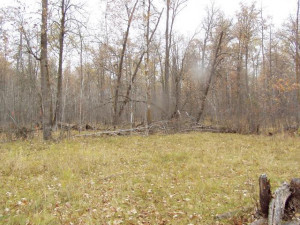 Photo for Lot 1 Blk Falling Leaf Trail, Park Rapids, MN 56470 - Listing #4554250 Lot 1 Blk Falling Leaf Trail, Park Rapids, MN 56470