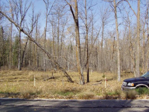 Photo for Lot 1 Blk Falling Leaf Trail, Park Rapids, MN 56470 - Listing #4554250 Lot 1 Blk Falling Leaf Trail, Park Rapids, MN 56470