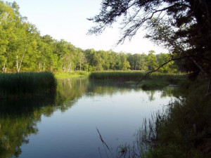 Photo for Lot 1 Blk Falling Leaf Trail, Park Rapids, MN 56470 - Listing #4554250 Lot 1 Blk Falling Leaf Trail, Park Rapids, MN 56470