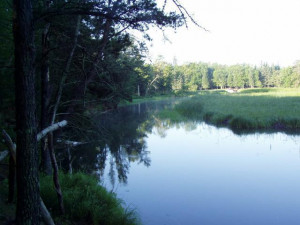 Photo for Lot 1 Blk Falling Leaf Trail, Park Rapids, MN 56470 - Listing #4554250 Lot 1 Blk Falling Leaf Trail, Park Rapids, MN 56470