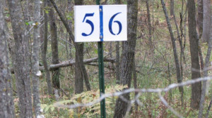 Photo for Lot 5 Blk Falling Leaf Trail, Park Rapids, MN 56470 - Listing #4554257 Lot 5 Blk Falling Leaf Trail, Park Rapids, MN 56470
