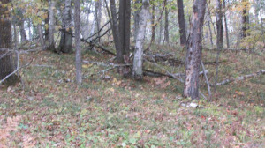 Photo for Lot 5 Blk Falling Leaf Trail, Park Rapids, MN 56470 - Listing #4554257 Lot 5 Blk Falling Leaf Trail, Park Rapids, MN 56470