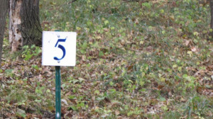 Photo for Lot 5 Blk Falling Leaf Trail, Park Rapids, MN 56470 - Listing #4554257 Lot 5 Blk Falling Leaf Trail, Park Rapids, MN 56470