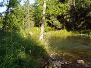 Photo for Lot 5 Blk Falling Leaf Trail, Park Rapids, MN 56470 - Listing #4554257 Lot 5 Blk Falling Leaf Trail, Park Rapids, MN 56470