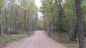 Photo for Lot 9 Blk Falling Leaf Trail, Park Rapids, MN 56470 - Listing #4554268 Lot 9 Blk Falling Leaf Trail, Park Rapids, MN 56470