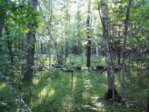 Photo for Lot 9 Blk Falling Leaf Trail, Park Rapids, MN 56470 - Listing #4554268 Lot 9 Blk Falling Leaf Trail, Park Rapids, MN 56470