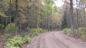 Photo for Lot 8 Blk Falling Leaf Trail, Park Rapids, MN 56470 - Listing #4554265 Lot 8 Blk Falling Leaf Trail, Park Rapids, MN 56470