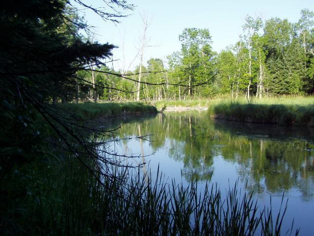 Photo for Lot 7 Blk Falling Leaf Trail, Park Rapids, MN 56470 - Listing #4554262 Lot 7 Blk Falling Leaf Trail, Park Rapids, MN 56470