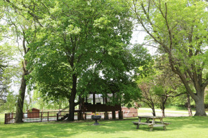 Photo for 21398 575th Avenue, Litchfield, MN 55355 - Listing #5675165 21398 575th Avenue, Litchfield, MN 55355