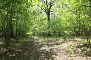 Photo for 21398 575th Avenue, Litchfield, MN 55355 - Listing #5675165 21398 575th Avenue, Litchfield, MN 55355