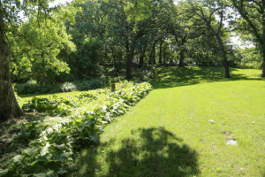 Photo for 21398 575th Avenue, Litchfield, MN 55355 - Listing #5675165 21398 575th Avenue, Litchfield, MN 55355