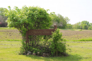 Photo for 21398 575th Avenue, Litchfield, MN 55355 - Listing #5675165 21398 575th Avenue, Litchfield, MN 55355