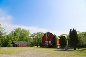 Photo for 21398 575th Avenue, Litchfield, MN 55355 - Listing #5675165 21398 575th Avenue, Litchfield, MN 55355