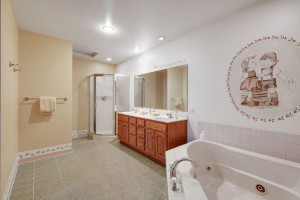 Photo for 21398 575th Avenue, Litchfield, MN 55355 - Listing #5675165 21398 575th Avenue, Litchfield, MN 55355
