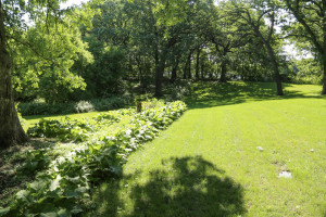 Photo for 21398 575th Avenue, Litchfield, MN 55355 - Listing #5675165 21398 575th Avenue, Litchfield, MN 55355