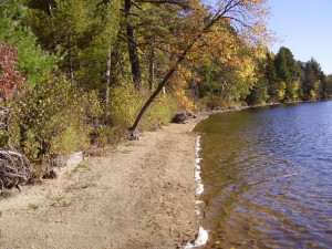 Photo for TBD Inwood Road, Nevis, MN 56467 - Listing #5738250 TBD Inwood Road, Nevis, MN 56467