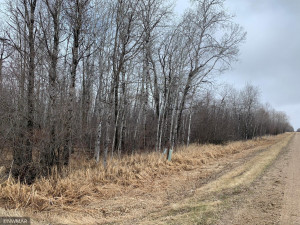 Photo for TBD 87th Street SE, Baudette, MN 56623 - Listing #5727336 TBD 87th Street SE, Baudette, MN 56623