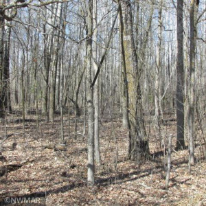 Photo for 1036 Winter Drive NW, Baudette, MN 56623 - Listing #5740384 1036 Winter Drive NW, Baudette, MN 56623
