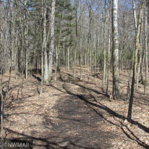 Photo for 1036 Winter Drive NW, Baudette, MN 56623 - Listing #5740384 1036 Winter Drive NW, Baudette, MN 56623