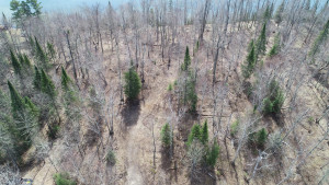 Photo for Parcel E Eagle Point Road, Bigfork, MN 56628 - Listing #5736709 Parcel E Eagle Point Road, Bigfork, MN 56628