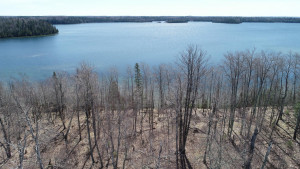 Photo for Parcel E Eagle Point Road, Bigfork, MN 56628 - Listing #5736709 Parcel E Eagle Point Road, Bigfork, MN 56628