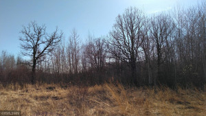Photo for TBD 330th, Lake Bronson, MN 56734 - Listing #5740544 TBD 330th, Lake Bronson, MN 56734