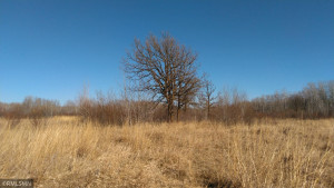 Photo for TBD 330th, Lake Bronson, MN 56734 - Listing #5740544 TBD 330th, Lake Bronson, MN 56734