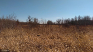 Photo for TBD 330th, Lake Bronson, MN 56734 - Listing #5740544 TBD 330th, Lake Bronson, MN 56734