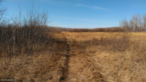Photo for TBD 330th, Lake Bronson, MN 56734 - Listing #5740544 TBD 330th, Lake Bronson, MN 56734