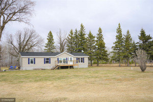 23747 320th Avenue, Badger, MN 56714