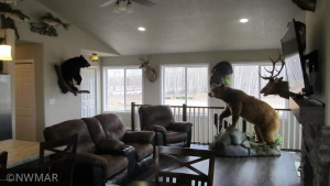 Photo for 3007 59th Street SE, Baudette, MN 56623 - Listing #5743388 3007 59th Street SE, Baudette, MN 56623