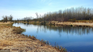 Photo for 3007 59th Street SE, Baudette, MN 56623 - Listing #5743388 3007 59th Street SE, Baudette, MN 56623