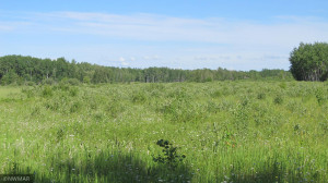Photo for 3007 59th Street SE, Baudette, MN 56623 - Listing #5743388 3007 59th Street SE, Baudette, MN 56623