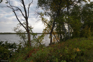 Photo for 10246 Klondike Drive NW, Puposky, MN 56667 - Listing #5742976 10246 Klondike Drive NW, Puposky, MN 56667