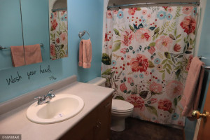 Photo for 25600 Croswell Avenue NE, Blackduck, MN 56630 - Listing #5745078 25600 Croswell Avenue NE, Blackduck, MN 56630