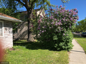 Photo for 213 Tindolph Avenue N, Thief River Falls, MN 56701 - Listing #5742053 213 Tindolph Avenue N, Thief River Falls, MN 56701
