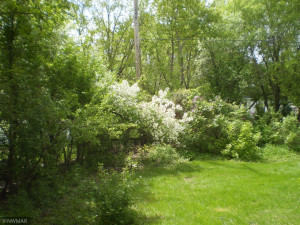 Photo for 1005 Mississippi Avenue NW, Bemidji, MN 56601 - Listing #5747270 1005 Mississippi Avenue NW, Bemidji, MN 56601