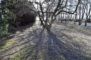 Photo for 15750 250th Avenue NW, Warren, MN 56762 - Listing #5749576 15750 250th Avenue NW, Warren, MN 56762