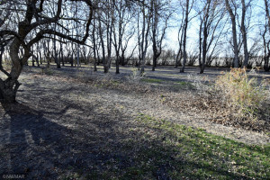 Photo for 15750 250th Avenue NW, Warren, MN 56762 - Listing #5749576 15750 250th Avenue NW, Warren, MN 56762