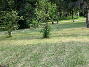 Photo for 410 3rd Avenue SE, Baudette, MN 56623 - Listing #5746466 410 3rd Avenue SE, Baudette, MN 56623