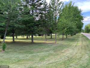 Photo for 410 3rd Avenue SE, Baudette, MN 56623 - Listing #5746466 410 3rd Avenue SE, Baudette, MN 56623