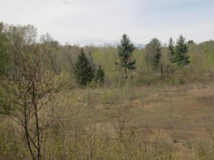 Photo for TBD Inwood Road, Nevis, MN 56467 - Listing #5738250 TBD Inwood Road, Nevis, MN 56467